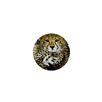 Cheetah 1  Mini Magnet