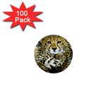 Cheetah 1  Mini Magnet (100 pack) 