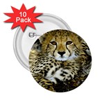 Cheetah 2.25  Button (10 pack)
