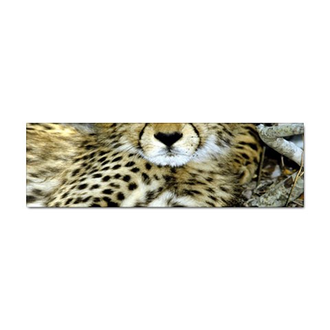 Cheetah Sticker (Bumper) from UrbanLoad.com Front