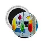 Tropical Drinks 2.25  Magnet