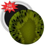 Kiwi 3  Magnet (100 pack)