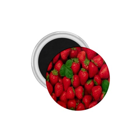 Strawberries  1.75  Magnet from UrbanLoad.com Front