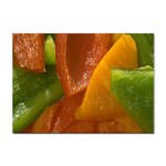 Bell Peppers Sticker A4 (100 pack)