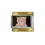 cat Gold Trim Italian Charm (9mm)