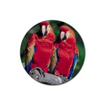 Parrots Bird D6 Rubber Round Coaster (4 pack)