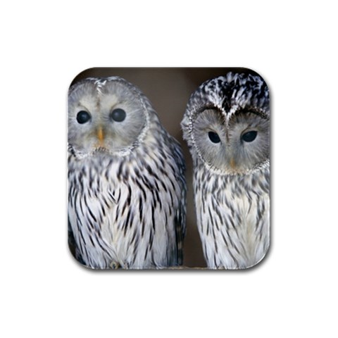 Owls Bird Rubber Square Coaster (4 pack) from UrbanLoad.com Front
