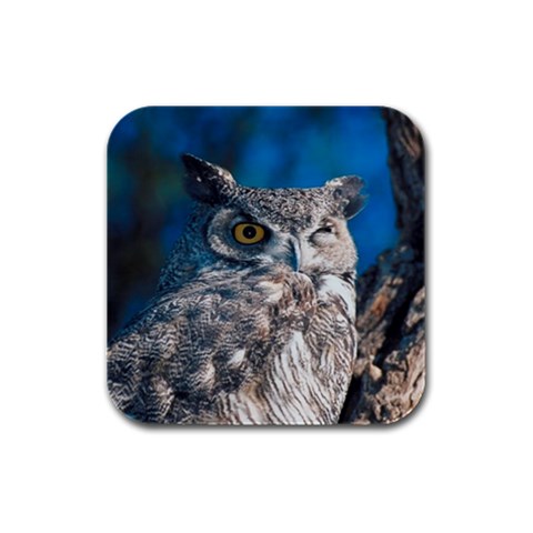 Owl Bird D2 Rubber Square Coaster (4 pack) from UrbanLoad.com Front