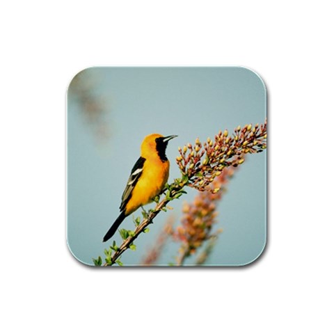 Oriole Bird Rubber Square Coaster (4 pack) from UrbanLoad.com Front