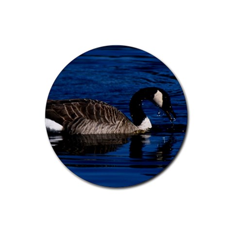 Canadian Goose Bird Rubber Round Coaster (4 pack) from UrbanLoad.com Front