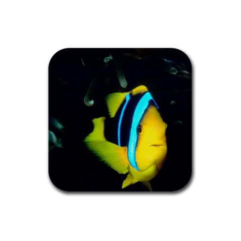 Triggerfish Fish Rubber Square Coaster (4 pack) from UrbanLoad.com Front