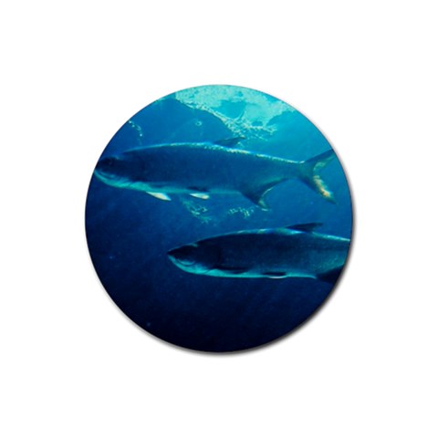 Tarpon Fish Rubber Round Coaster (4 pack) from UrbanLoad.com Front