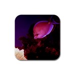 Surgeonfish Fish Rubber Square Coaster (4 pack)