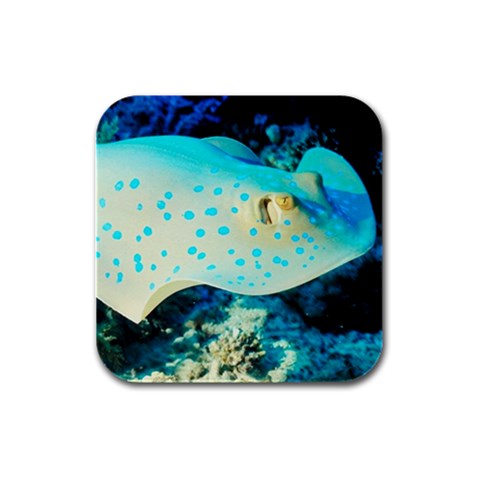 Sting Ray Fish Rubber Square Coaster (4 pack) from UrbanLoad.com Front