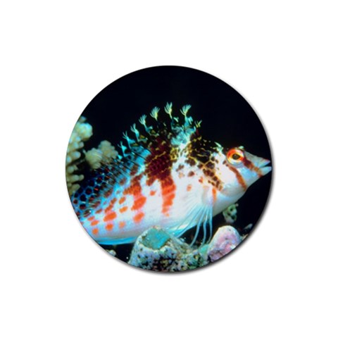 Spiney Hawkfish Fish Rubber Round Coaster (4 pack) from UrbanLoad.com Front