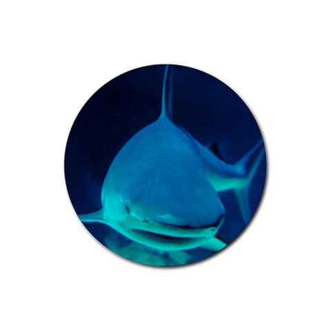 Reef Shark D2 Rubber Round Coaster (4 pack) from UrbanLoad.com Front