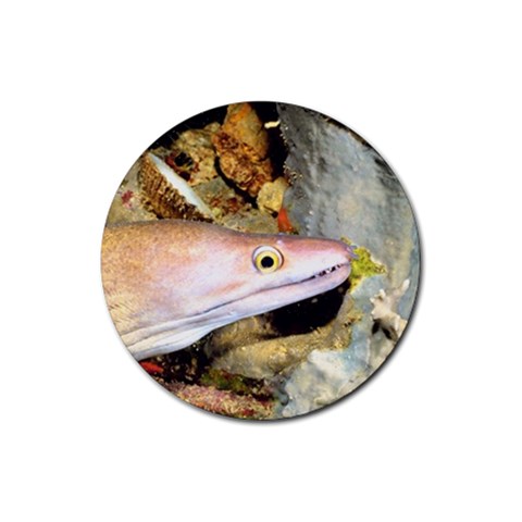 Moray Eel Fish Rubber Round Coaster (4 pack) from UrbanLoad.com Front