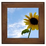Summer Sunflower Framed Tile