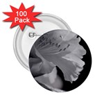 Classic beauty 2.25  Button (100 pack)