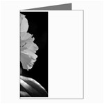 Classic beauty Greeting Card