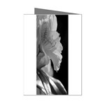 Classic beauty Mini Greeting Cards (Pkg of 8)