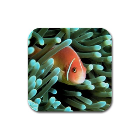 Clown Fish Rubber Square Coaster (4 pack) from UrbanLoad.com Front
