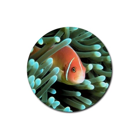 Clown Fish Rubber Round Coaster (4 pack) from UrbanLoad.com Front
