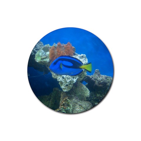 Blue Tang Fish D2 Rubber Round Coaster (4 pack) from UrbanLoad.com Front