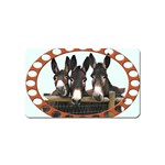 Three donks Magnet (Name Card)