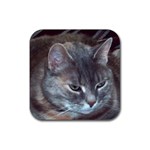 Cat Looking Away Rubber Coaster (Square)