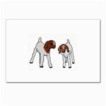 Boer Goat Kids Postcard 4 x 6  (Pkg of 10)