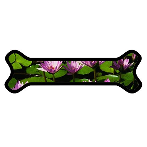 Water lilies Magnet (Dog Bone) from UrbanLoad.com Front