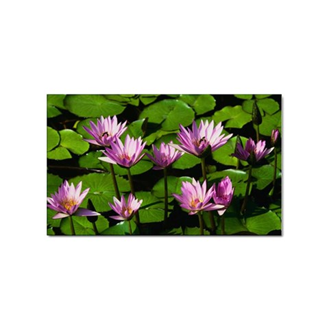 Water lilies Sticker Rectangular (100 pack) from UrbanLoad.com Front