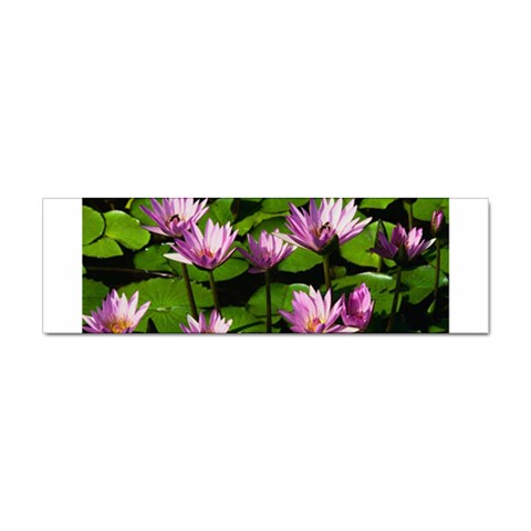 Water lilies Sticker Bumper (10 pack) from UrbanLoad.com Front