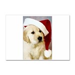 Christmas puppy  Sticker A4 (100 pack)