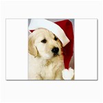 Christmas puppy  Postcards 5  x 7  (Pkg of 10)