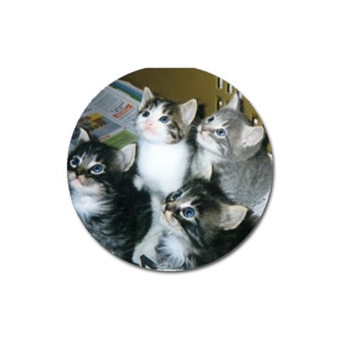 4 Kittens on a Newspaper Magnet 3  (Round) from UrbanLoad.com Front