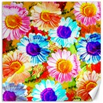 Colorful Daisy Garden Canvas 20  x 20  