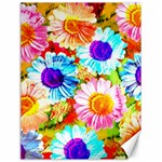 Colorful Daisy Garden Canvas 18  x 24  