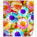 Colorful Daisy Garden Canvas 20  x 24  