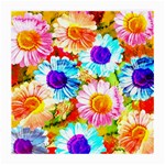 Colorful Daisy Garden Medium Glasses Cloth (2-Side)