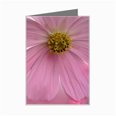 Sweet Pink Mini Greeting Card from UrbanLoad.com Left