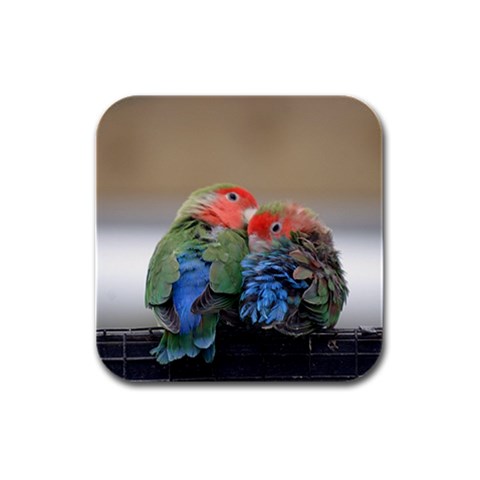 Love Parrots Rubber Square Coaster (4 pack) from UrbanLoad.com Front