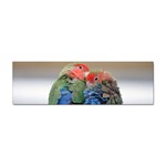 Love Parrots Sticker Bumper (10 pack)