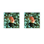 Clown Fish Tropical Cufflinks (Square)