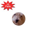 Dads Dog 1  Mini Button (10 pack) 