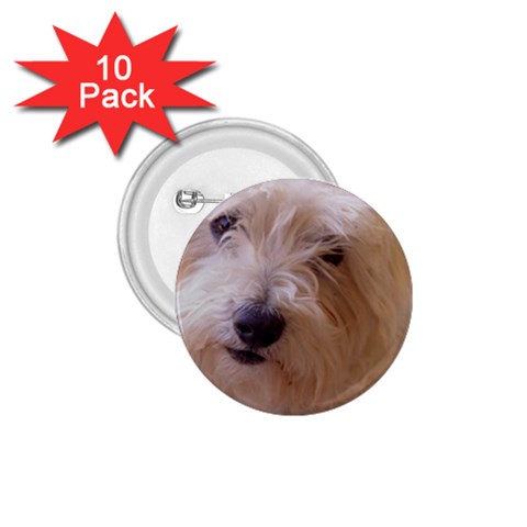 Dads Dog 1.75  Button (10 pack)  from UrbanLoad.com Front