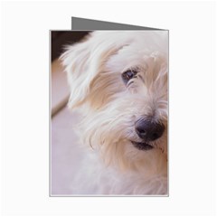 Dads Dog Mini Greeting Card from UrbanLoad.com Right