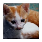 Cute Kitten Tile Coaster