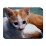 Cute Kitten Small Mousepad